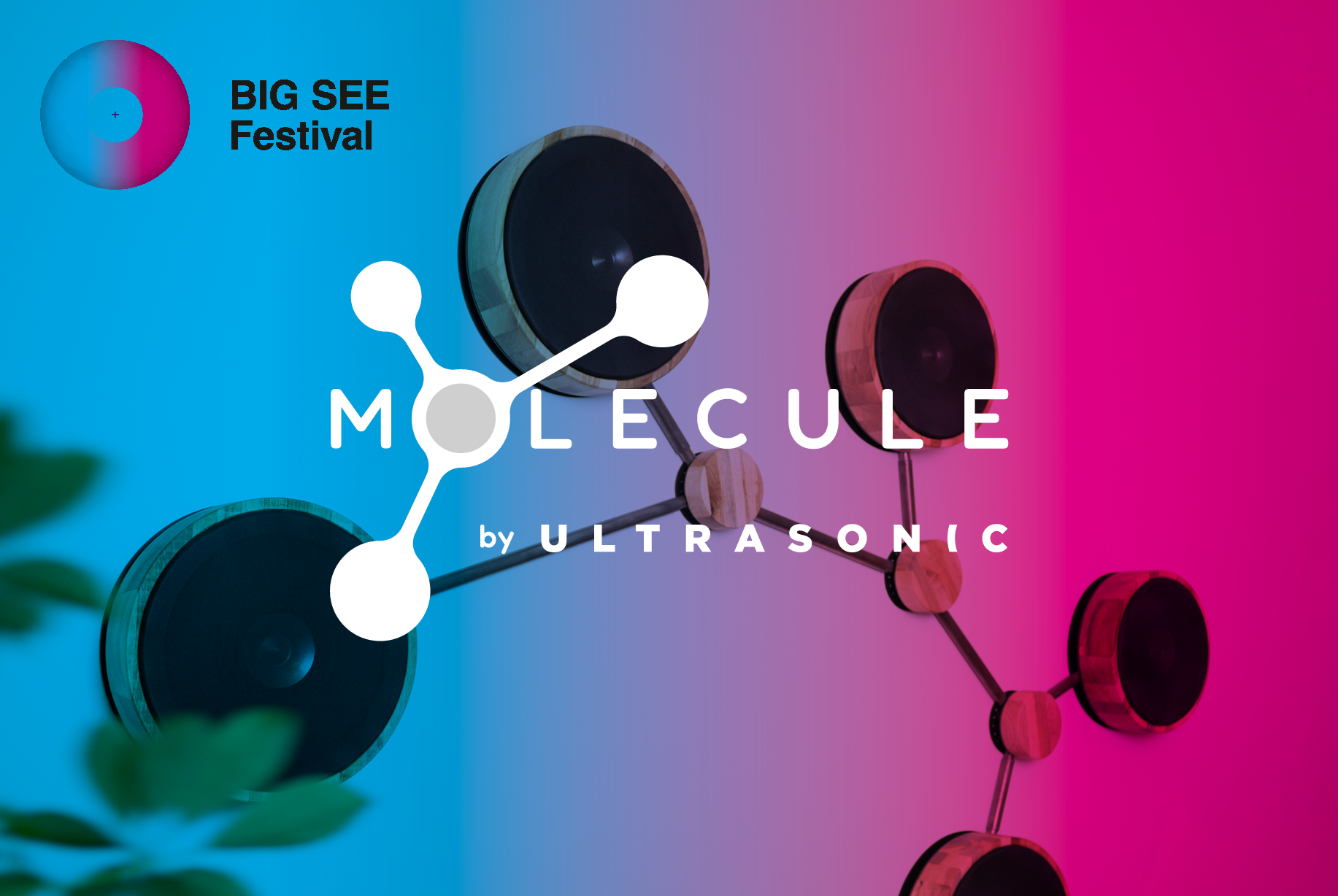 Molecule at Big See festival, Portorose